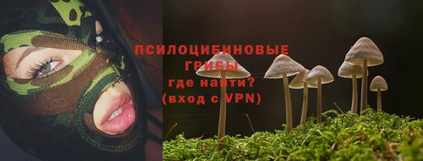 гидропоника Бугульма