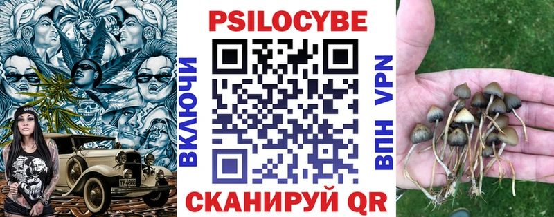 блэк спрут рабочий сайт  Озёрск  Псилоцибиновые грибы Magic Shrooms 